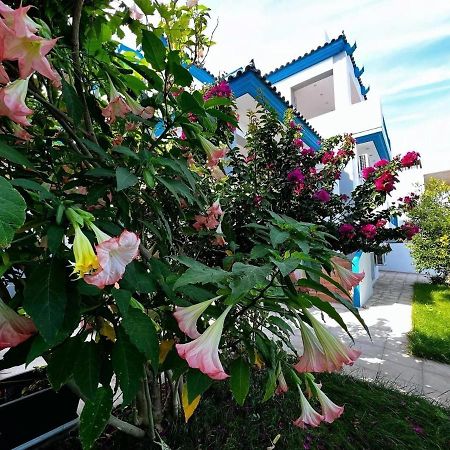 Sicci Villa Near The Airport & Sea Атина Екстериор снимка